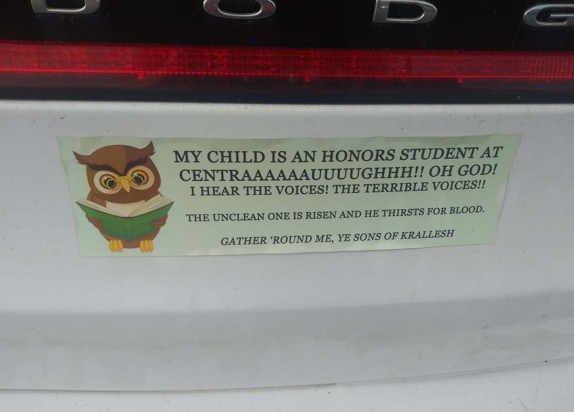 eastern screech owl - My Child Is An Honors Student At Centraaaaaauuuughhh!! Oh God! I Hear The Voices! The Terrible Voices!! The Unclean One Is Risen And He Thirsts For Blood. Gather 'Round Me, Ye Sons Of Krallesh G